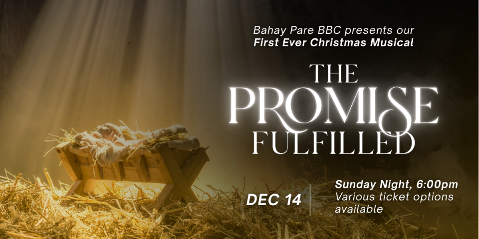 The Promise Fulfilled - Christmas Musical Cover