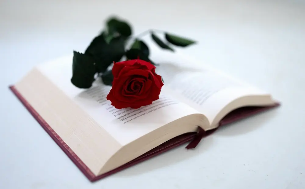 A red rose lies on an open book, with its stem and leaves extending to the left.