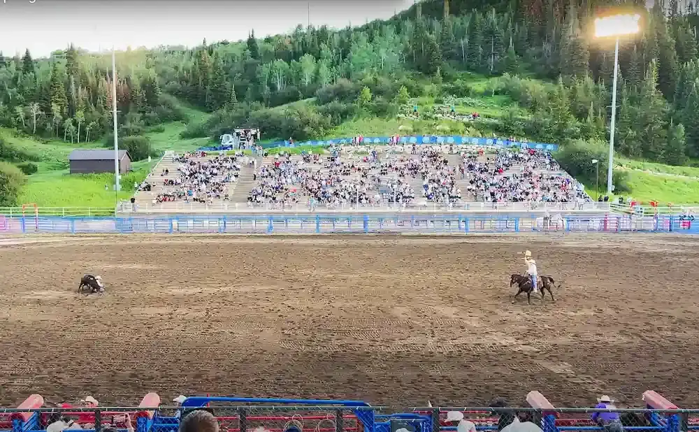 Rodeo arena with a bull, a rider on horseback, and spectators in the stands.