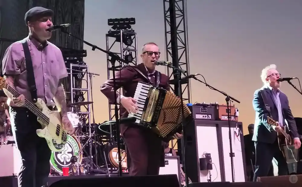 A band performs on stage with a bassist, accordion player, and guitarist.