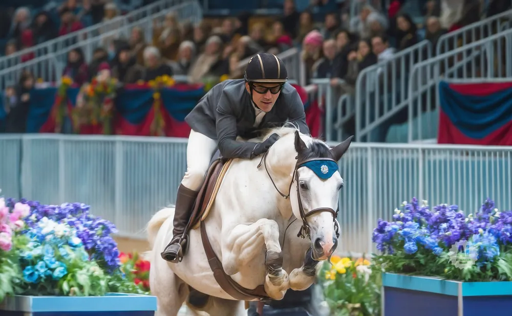 A person on a white horse jumps over an obstacle at an equestrian event.