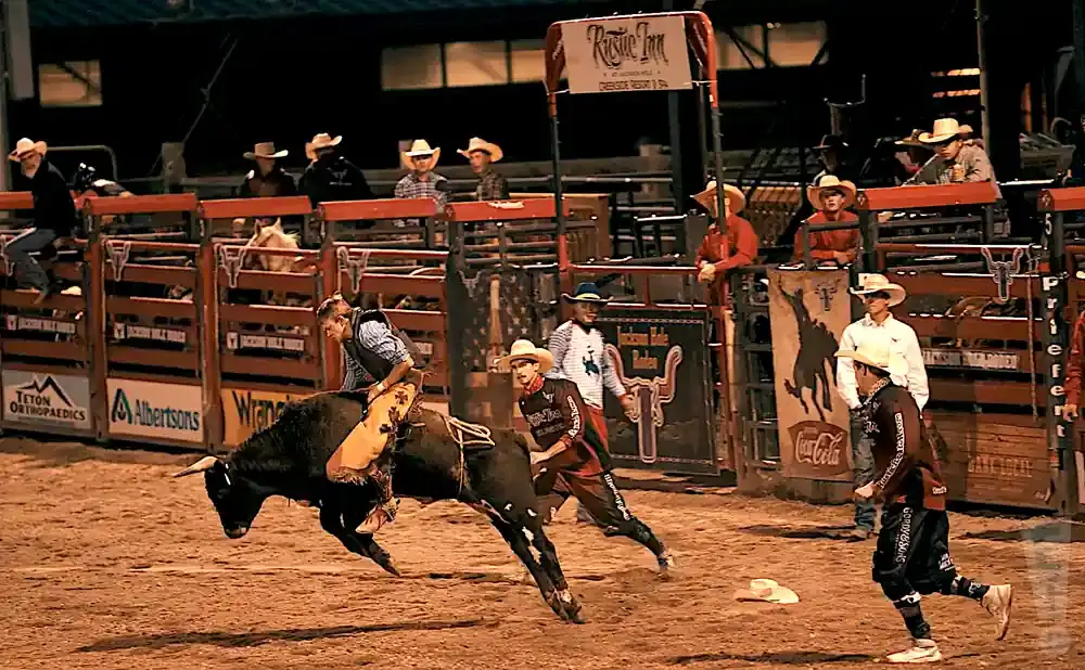 Bull rider on a bucking bull in a rodeo arena, with spectators watching from the stands.