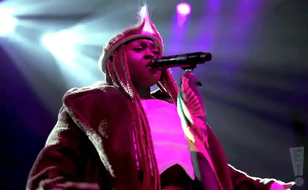 A performer with braided hair wears a unique hat and sings into a microphone under purple stage lights.