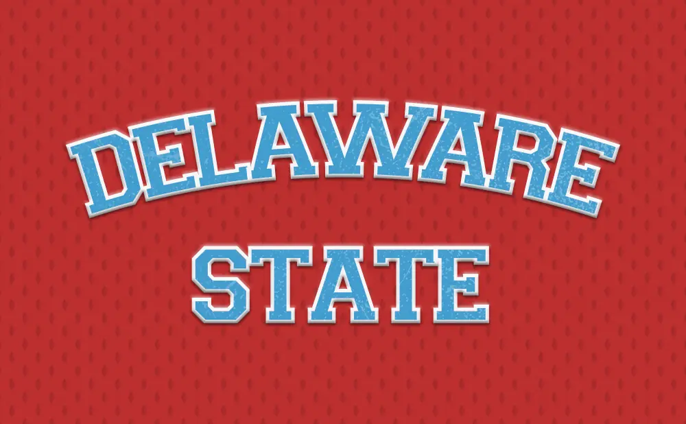 Delaware State text in blue with white outline on a red background with a subtle diamond pattern.