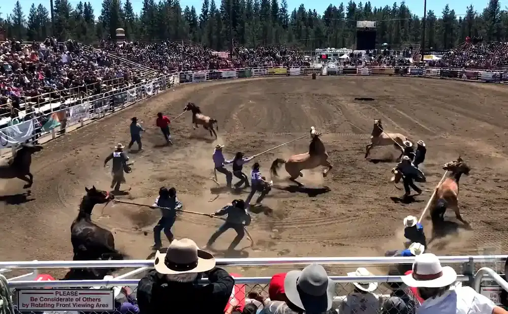 Rodeo contestants rope a bucking horse in a dusty arena filled with spectators.