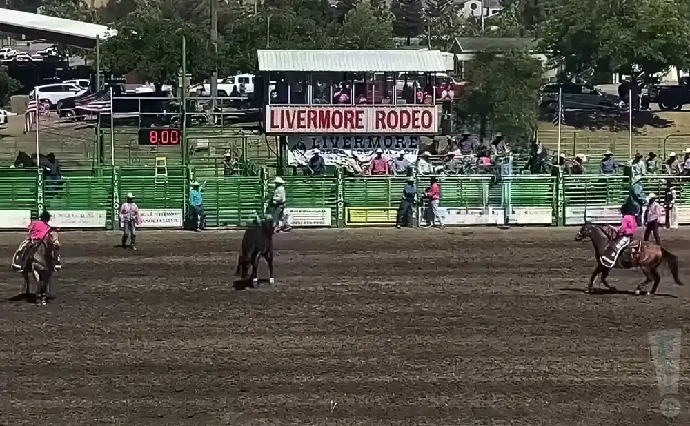 Rodeo arena with cowboys and horses, a scoreboard showing 8:00, and 