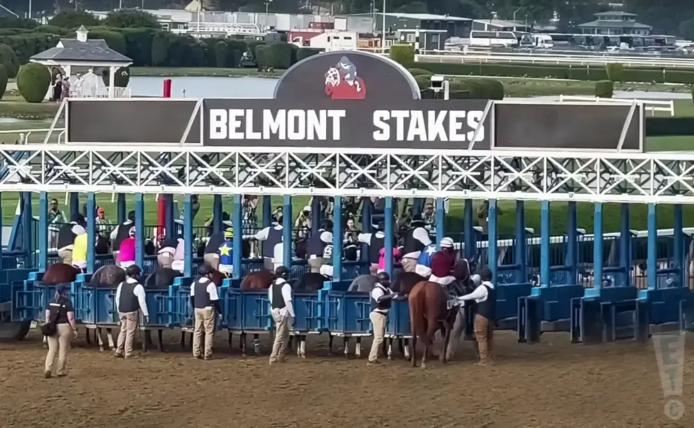 Belmont Stakes starting gates with horses and jockeys preparing for a race.