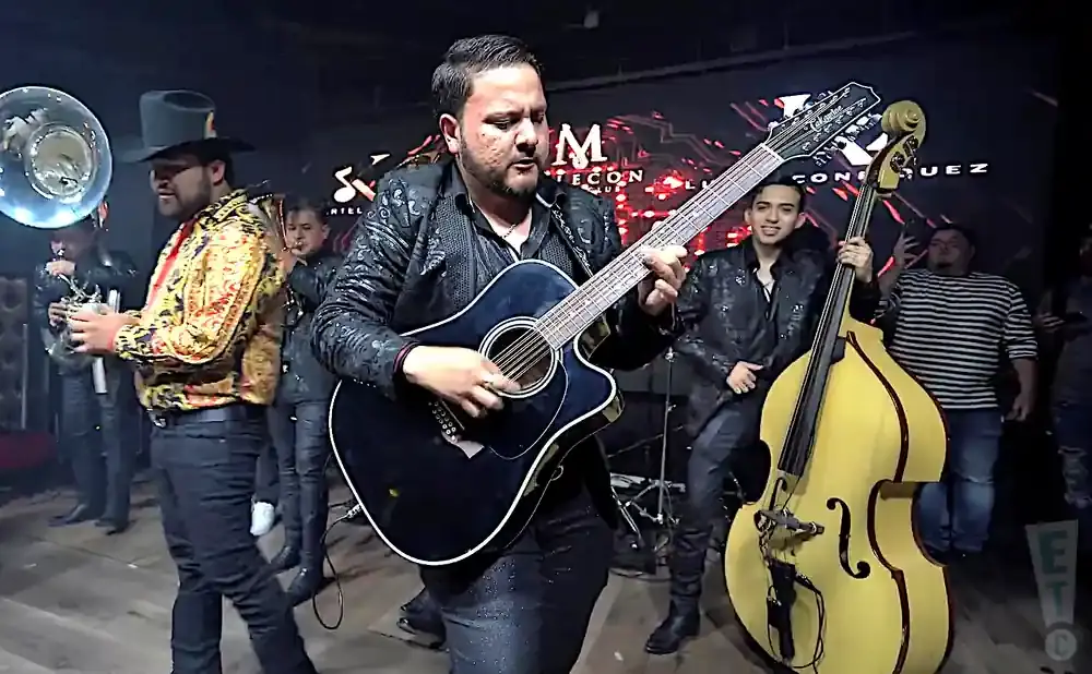 A band plays music on stage, with a guitarist, tuba player, and double bassist featured.