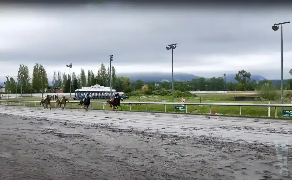 Horses racing on a muddy track under a cloudy sky, with spectators and mountains in the background.
