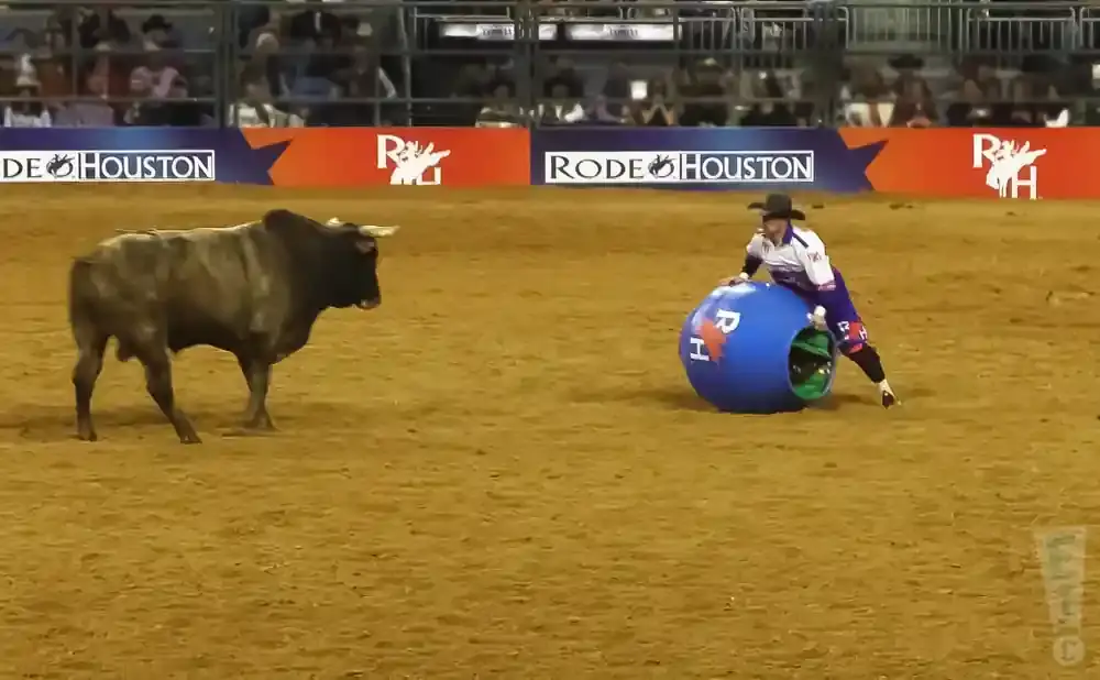 Bull rider in a barrel prepares to face a bull in a rodeo arena.