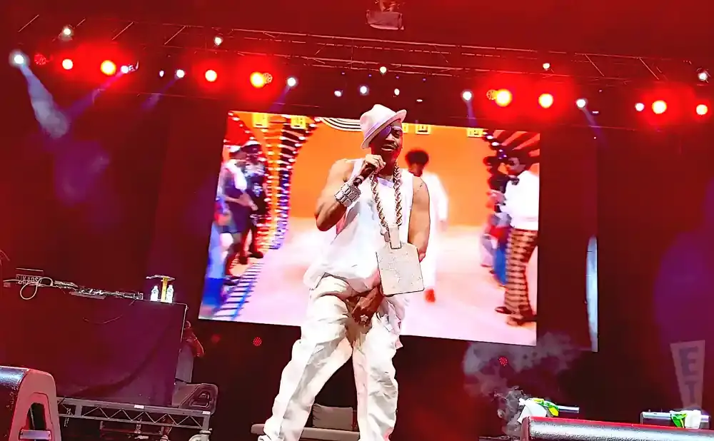 Rapper Flavor Flav performs on stage wearing white, a fedora, and a large gold chain.