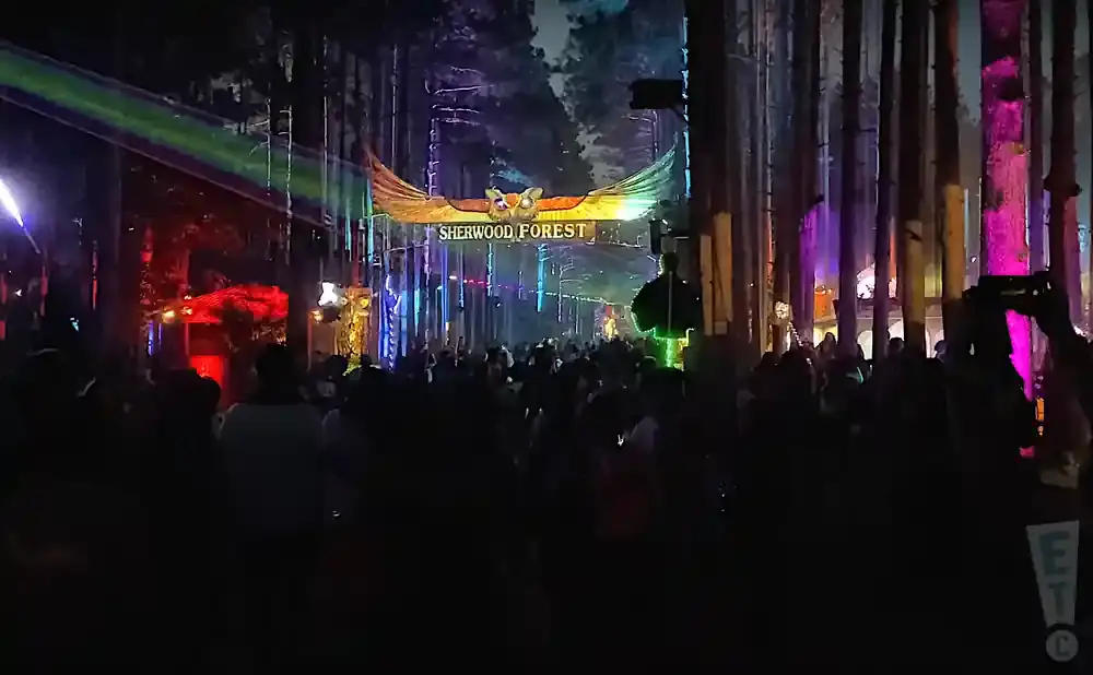 A crowded forest rave with a 