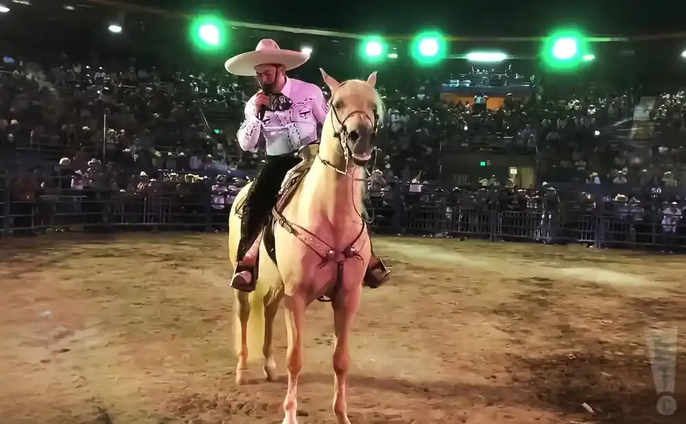 A man in a cowboy hat rides a horse in an arena, singing into a microphone.