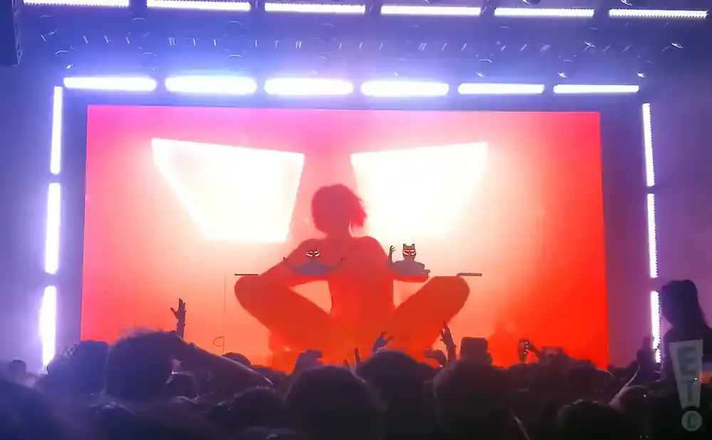 A DJ performs on stage at a concert, silhouetted against a bright red screen. A crowd watches from below.