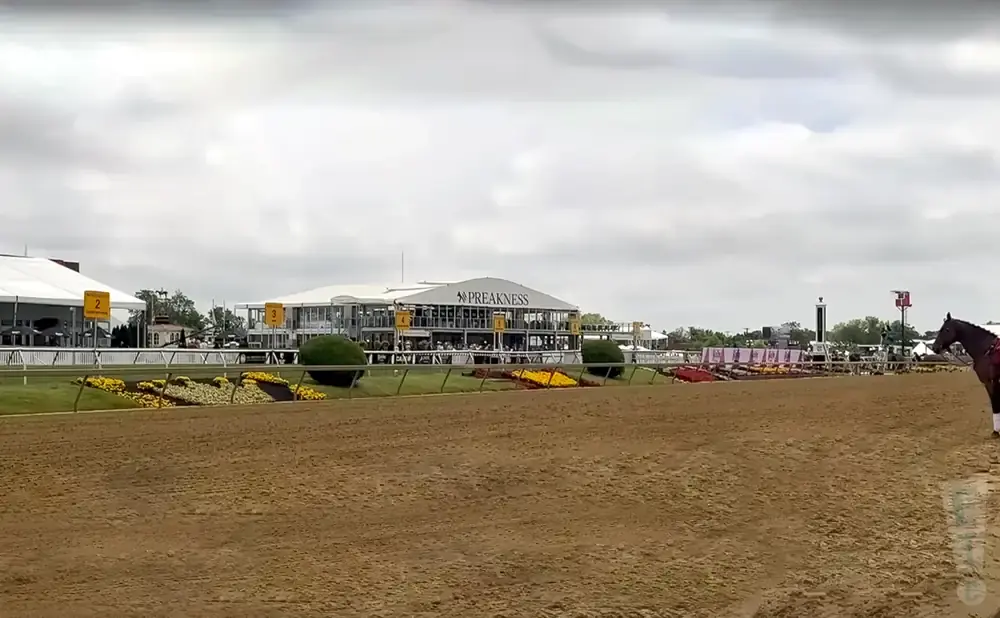 A horse stands on a dirt track in front of the Preakness building, under a cloudy sky.