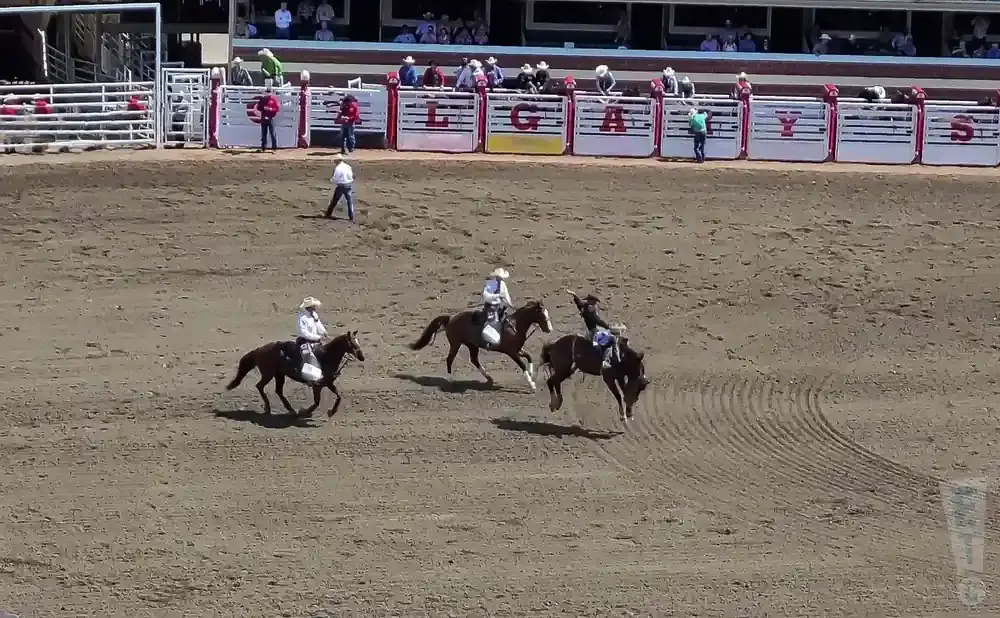 Rodeo participants on horseback in a dirt arena with spectators in the background.