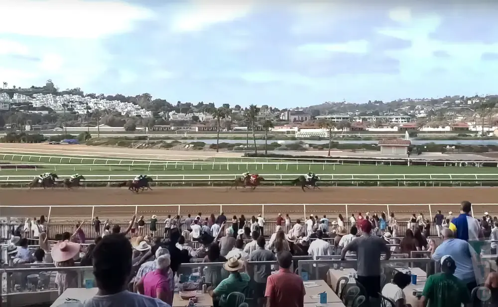 A horse race with a crowd watching from a grandstand in front of a hillside of buildings.