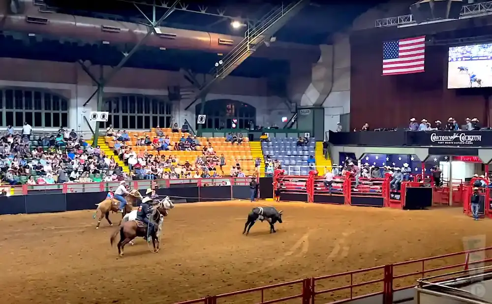 Rodeo arena with bull riders, a bull, and spectators in the stands.