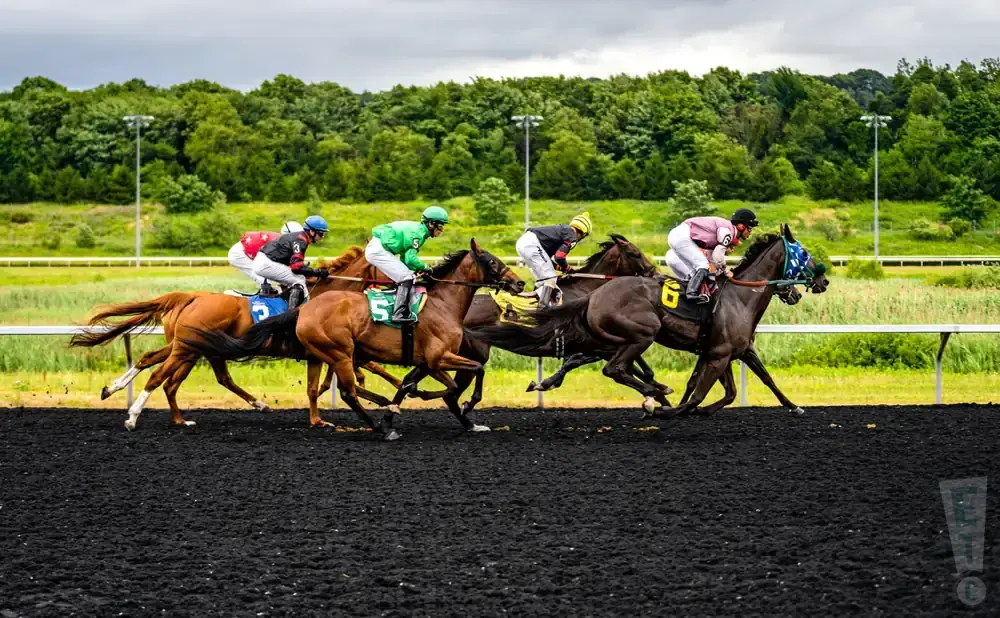 Horse race with jockeys in colorful silks galloping on a dark track with trees in the background.