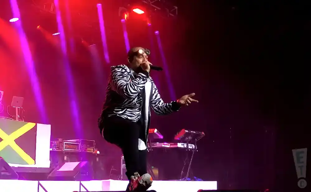 A rapper in a zebra-print jacket and goggles performs on stage with pink and purple spotlights.