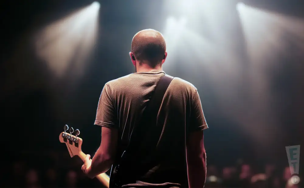 a rear view photo of moneen performing a concert on stage to a lively audience