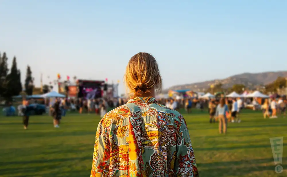 a rear view photo of fields of funk performing a concert on stage to a lively audience