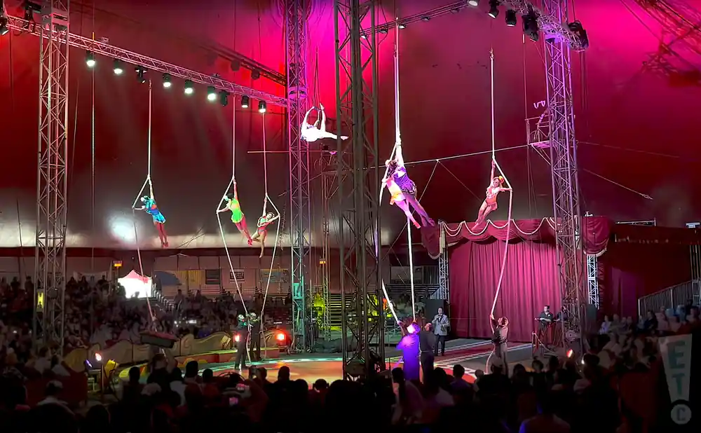 trapeze and other aerial acrobats at the royal canadian circus 2023.