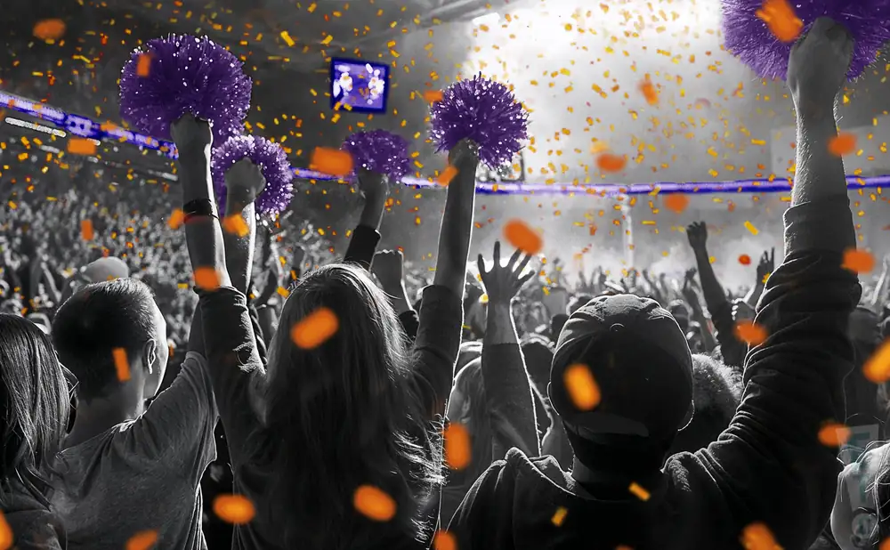 a crowd of clemson tigers fans cheering for their football team