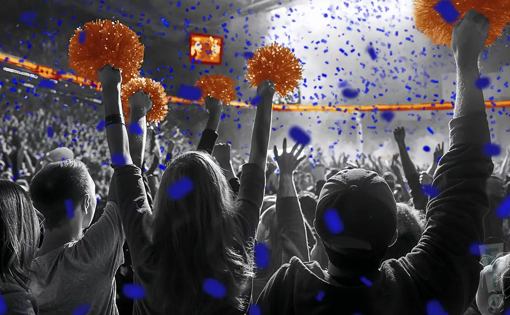a crowd of lincoln university lions fans cheering for their football team