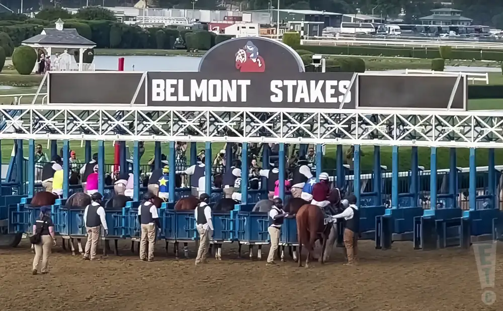 horses lined up for a race at the belmont stakes, 2023.