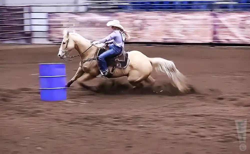 whitly gregory riding a horse at american royal rodeo, may 2023.