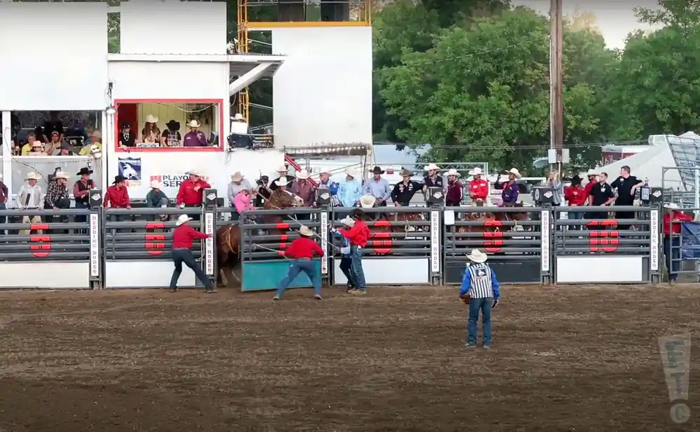 the 74th annual redding rodeo 2022.