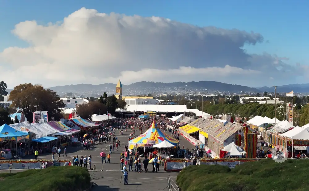 SanMateoCountyFair_SanMateoCA-Leonardo