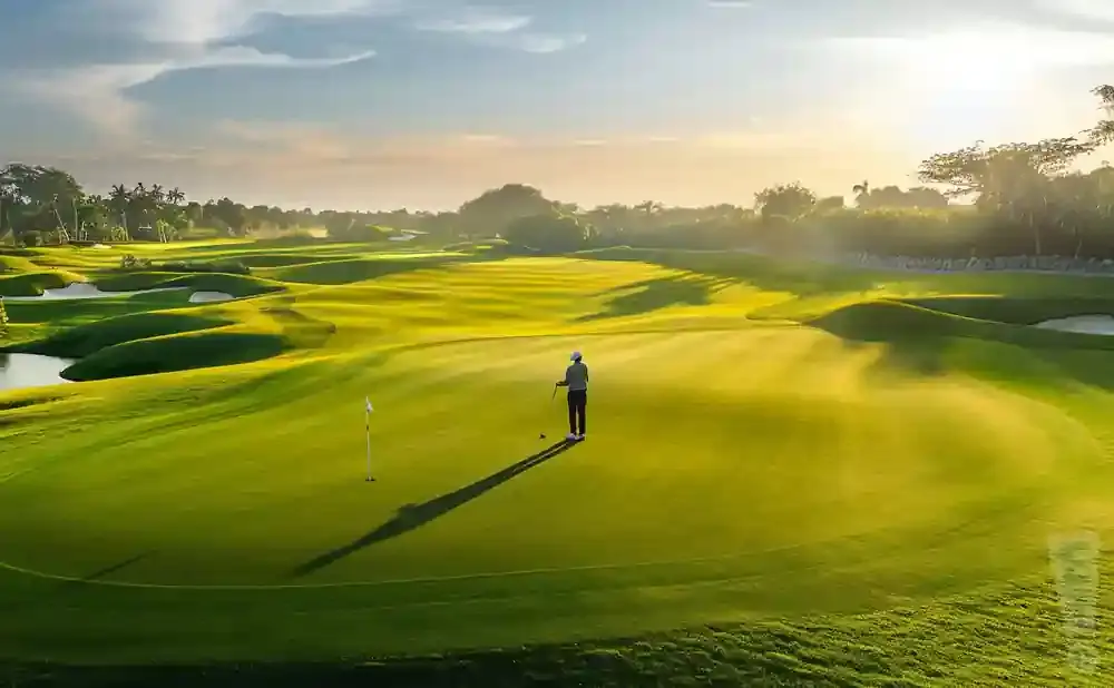 Golfer on a lush green course at sunset, with rolling hills and palm trees.