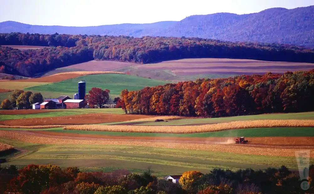 A farm with colorful autumn trees and fields, a tractor working in a cornfield.