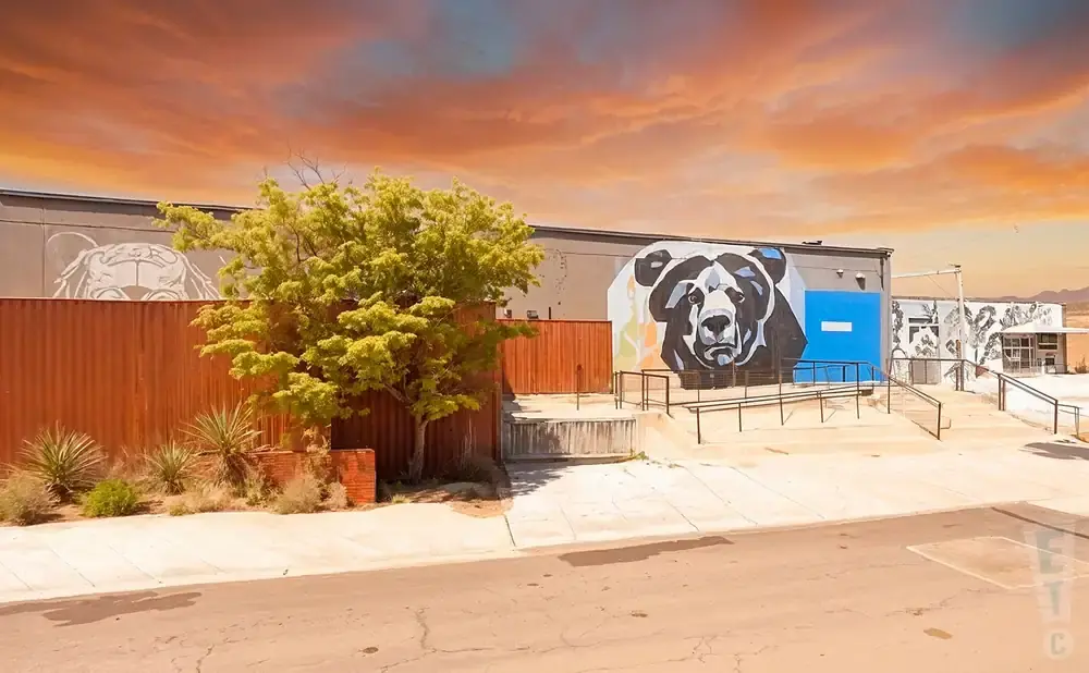 Mural of a bear's face on a building with a tree and orange corrugated fence.
