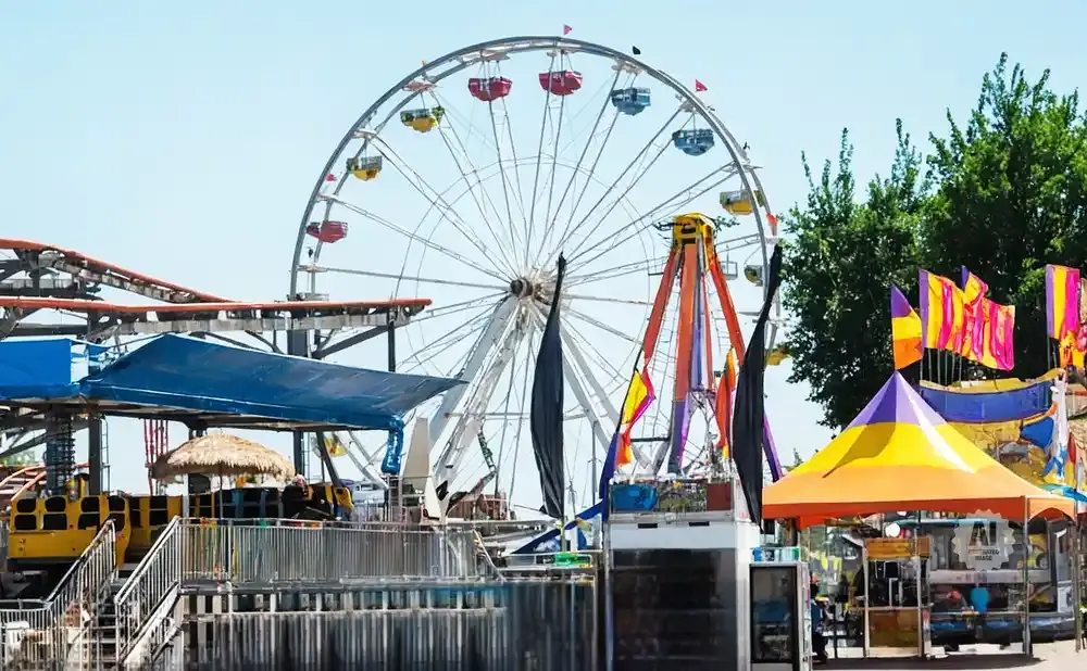 A Ferris wheel and roller coaster at a sunny amusement park.