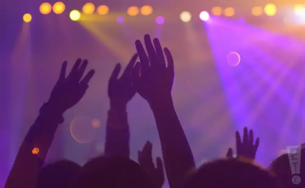Silhouette of hands raised in a concert crowd under purple and yellow lights.