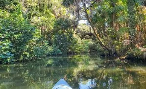 Estero Concert Tickets