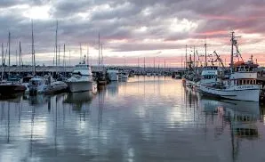 Everett Concert Tickets