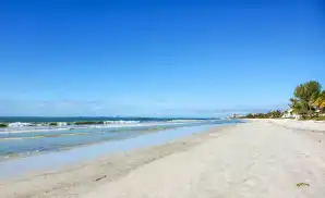 Fort Myers Concert Tickets