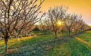 Fresno Concert Tickets