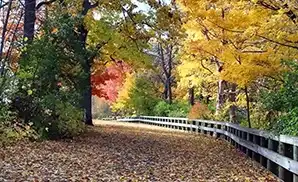 Appleton Concert Tickets