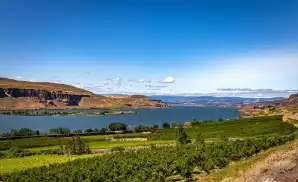 Goldendale Concert Tickets