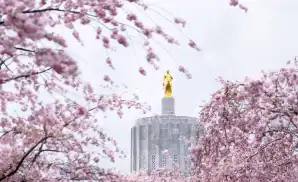 Grand Ronde Concert Tickets