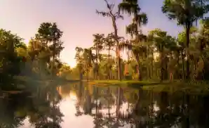 Hammond Venue & Event Tickets