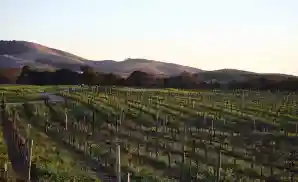 Healdsburg Venue & Event Tickets