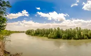 Hidalgo Sport Tickets