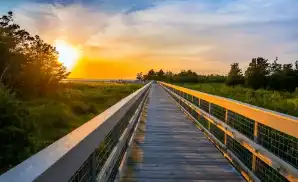 Holmdel Concert Tickets