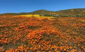 Lancaster Concert Tickets